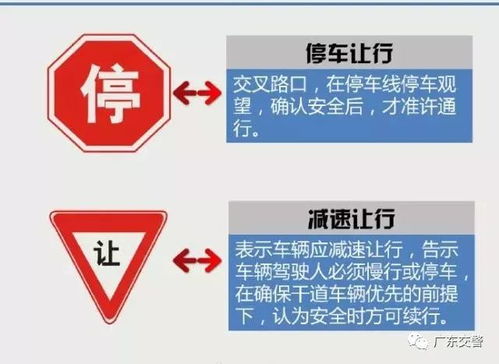 最容易吃罚单的交通标识,你能认全吗